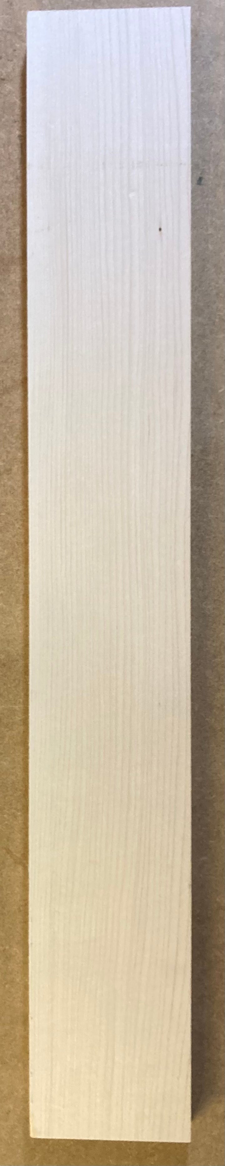 Electric Neck Blank - Maple #24