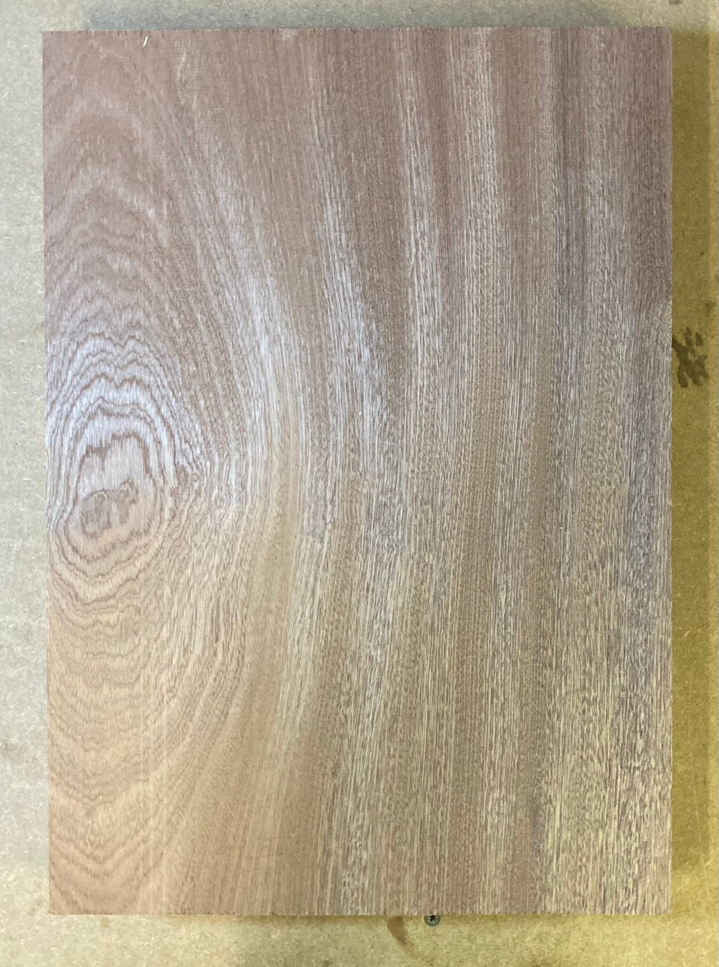 Sapele Body Blank - 1 Piece #2