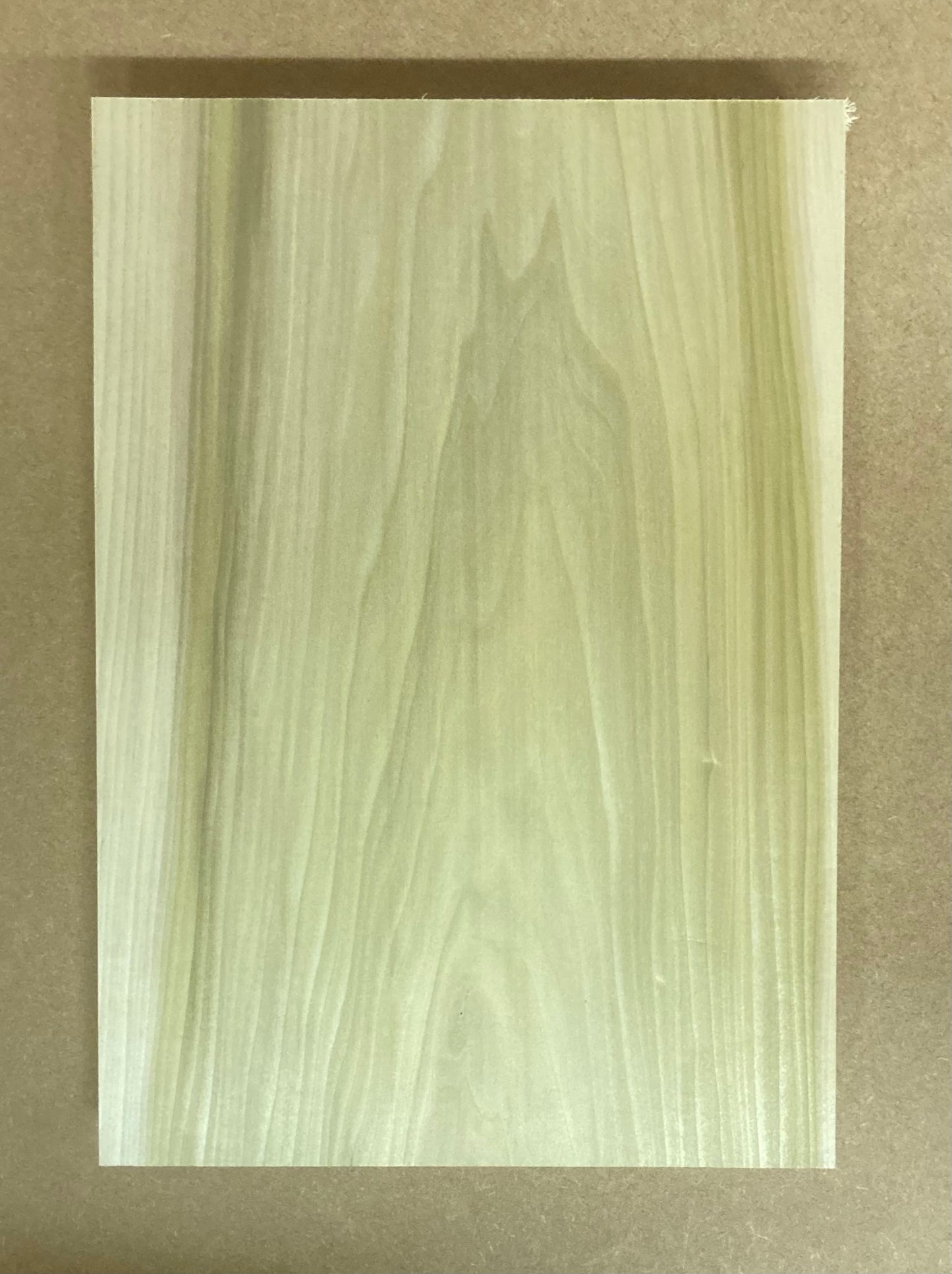 Tulip/Poplar Body Blank - 1 Piece #12