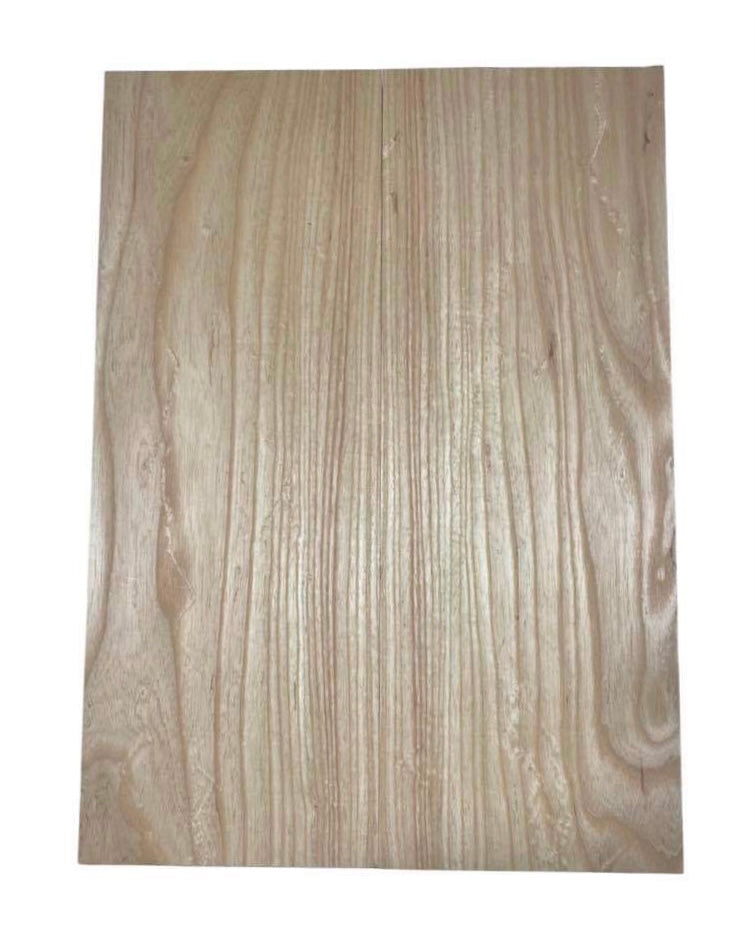 Ash Bass Body Blank - 2 Piece #2