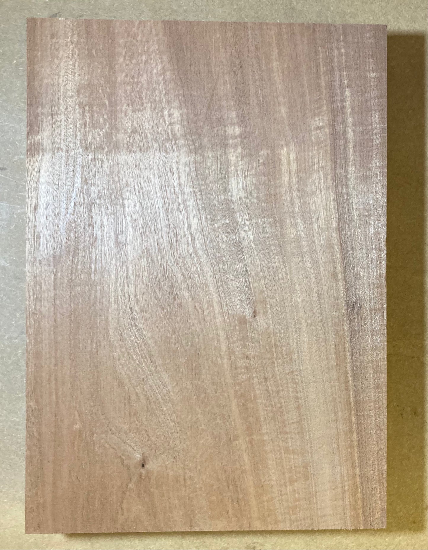 Sapele Body Blank - 1 Piece #1