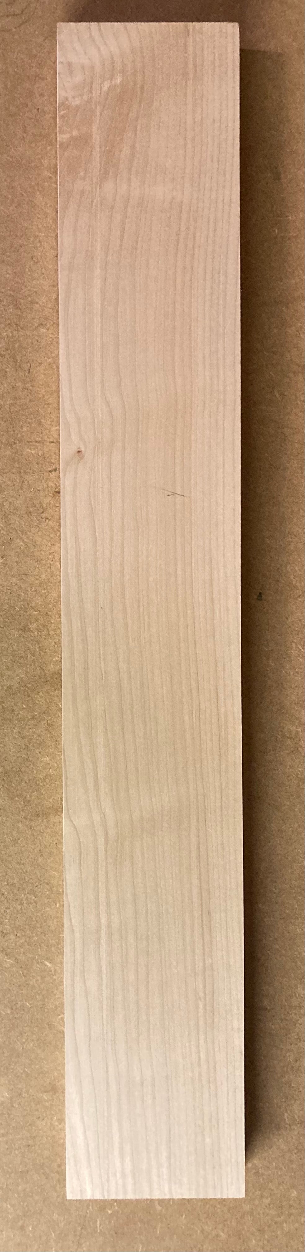 Electric Neck Blank - Maple #1