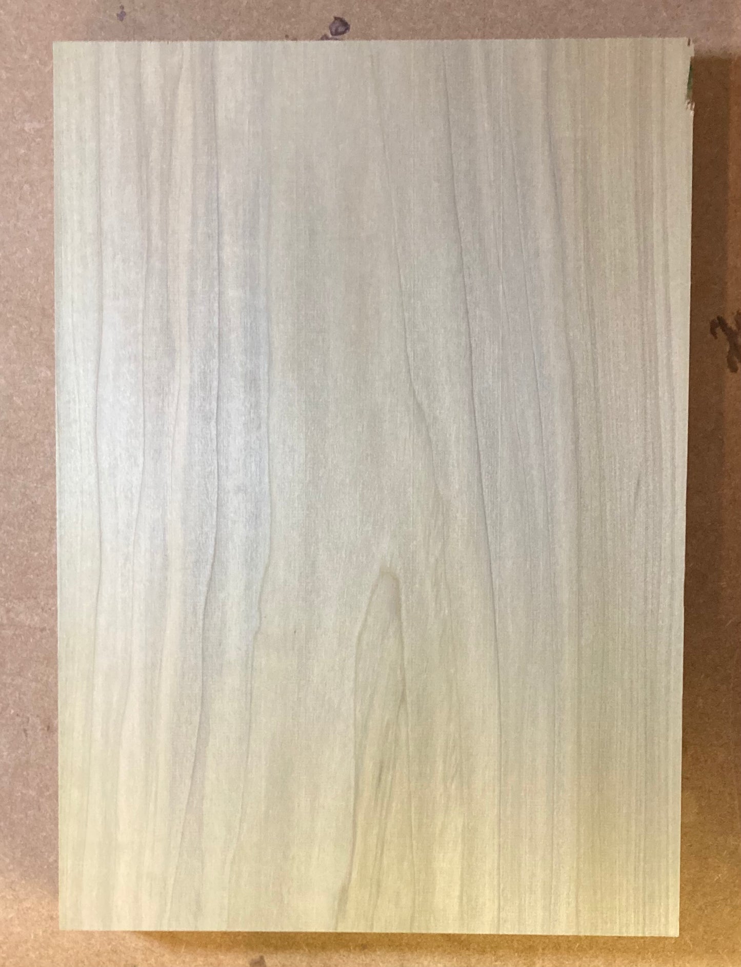 Tulip/Poplar Body Blank - 1 Piece #10