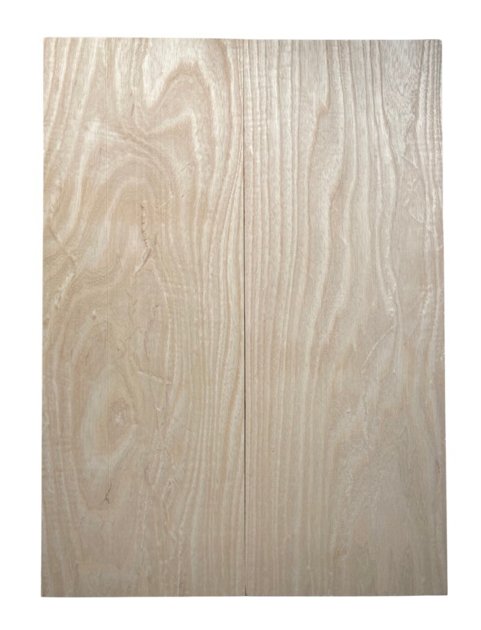 Ash Body Blank - 2 Piece #2