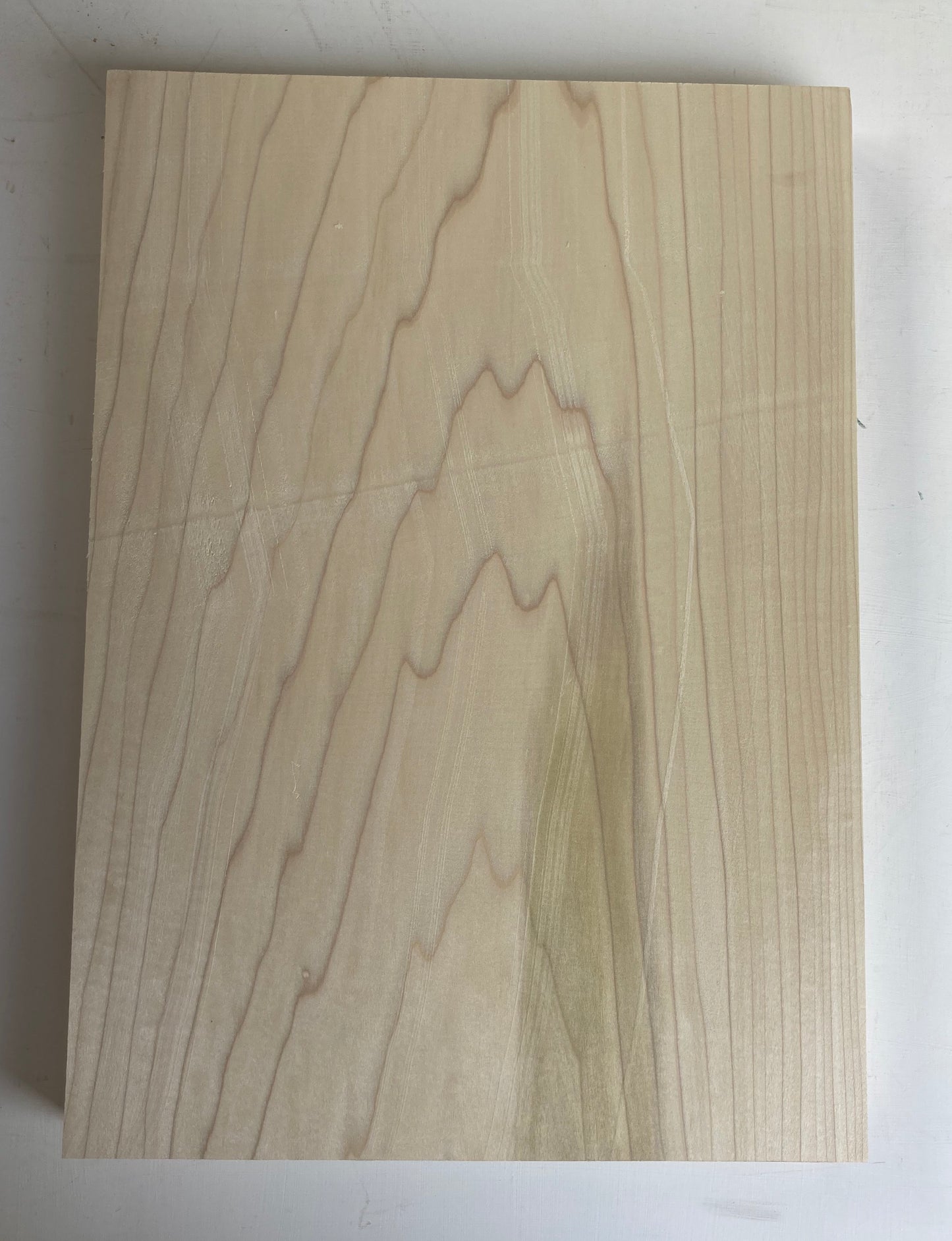 Tulip/Poplar Bass Body Blank - 1 Piece #11