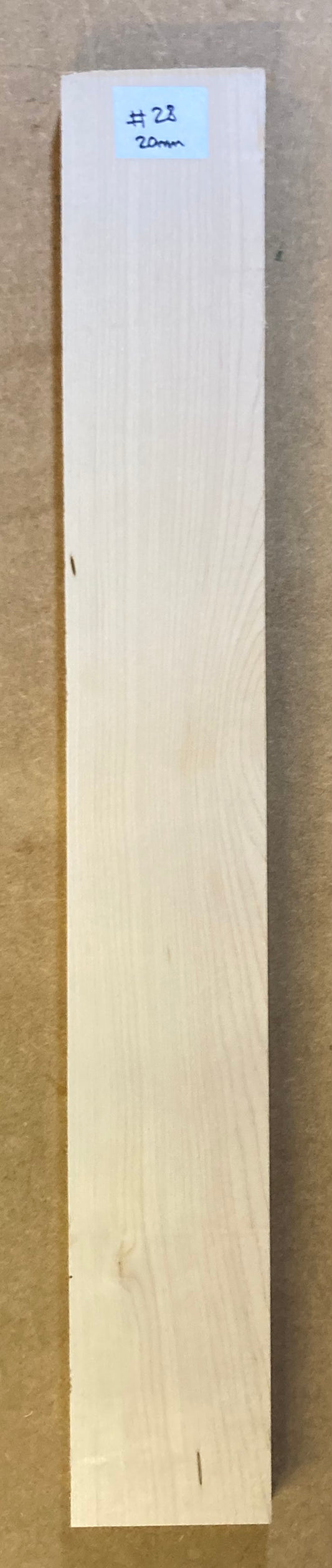 Electric Neck Blank - Maple #28