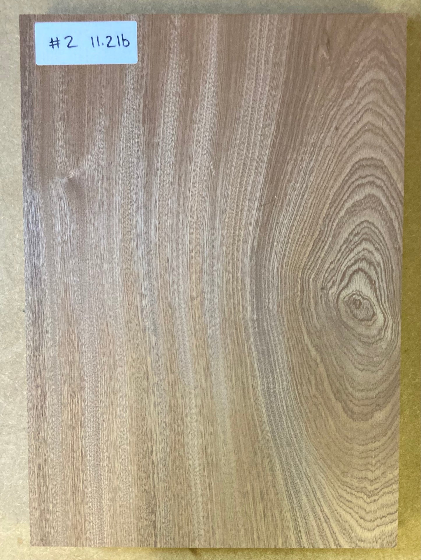 Sapele Body Blank - 1 Piece #2