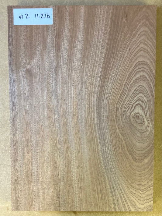 Sapele Body Blank - 1 Piece #2