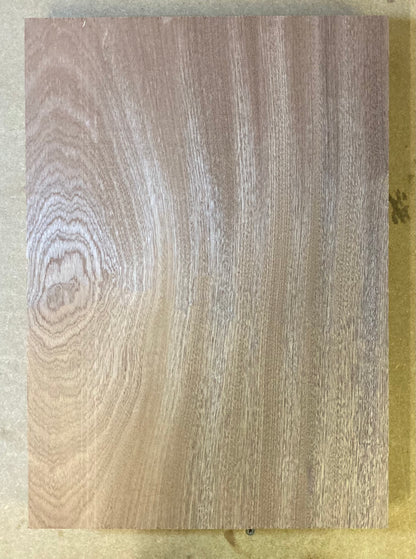Sapele Body Blank - 1 Piece #2