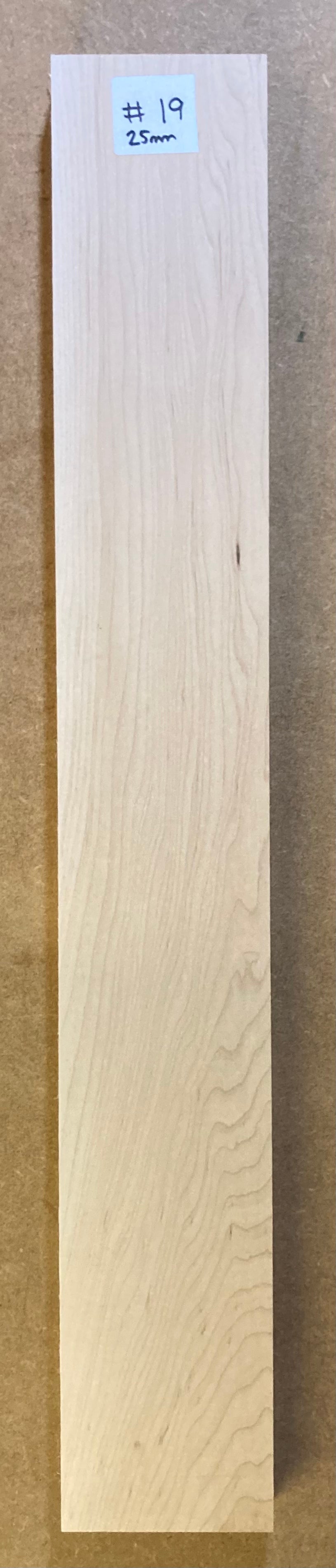Electric Neck Blank - Maple #19