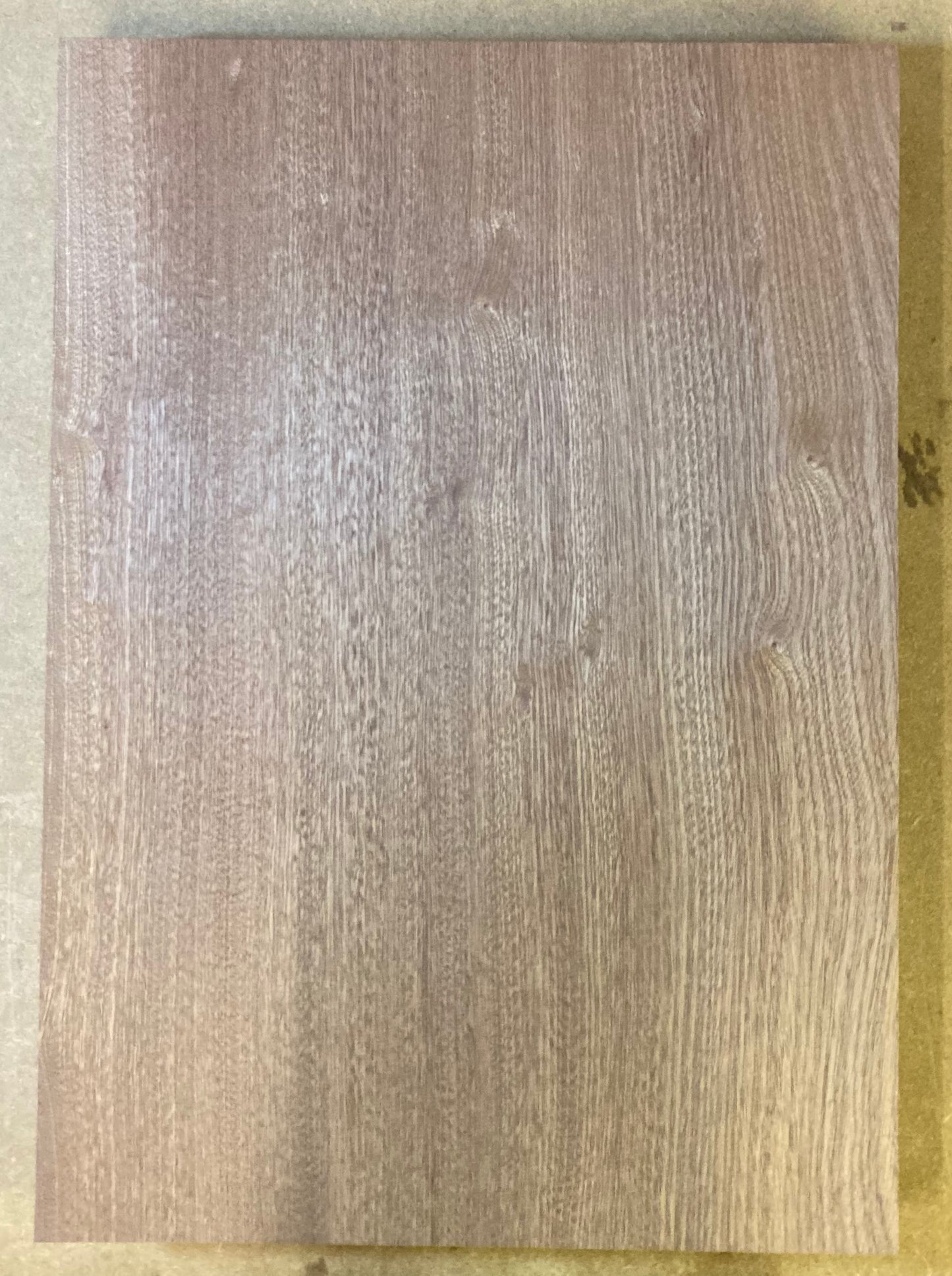 Sapele Bass Body Blank - 1 Piece #1