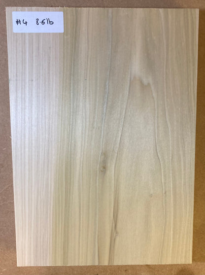 Tulip/Poplar Body Blank - 1 Piece #4
