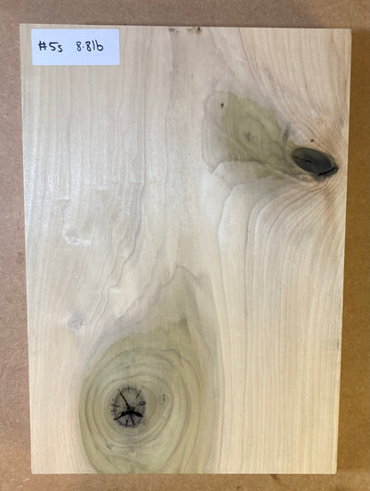 Tulip/Poplar Body Blank - 1 Piece #5 second