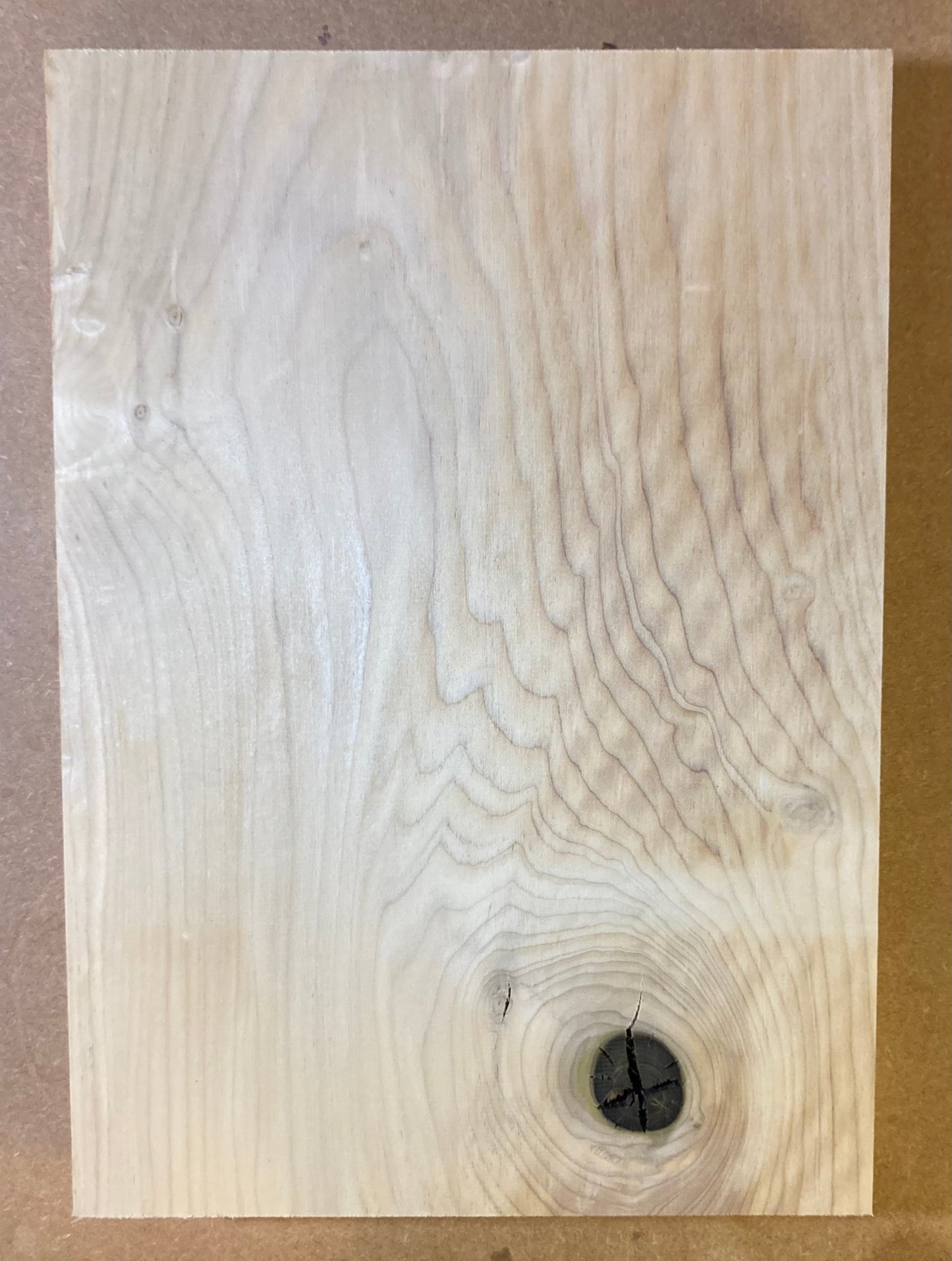 Tulip/Poplar Body Blank - 1 Piece #5 second
