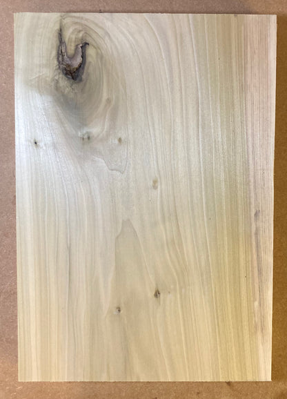 Tulip/Poplar Body Blank - 1 Piece #2 second