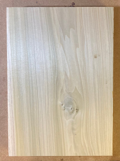 Tulip/Poplar Body Blank - 1 Piece #8