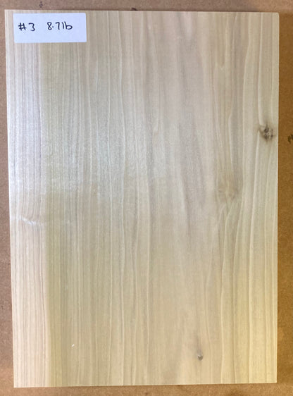 Tulip/Poplar Body Blank - 1 Piece #3