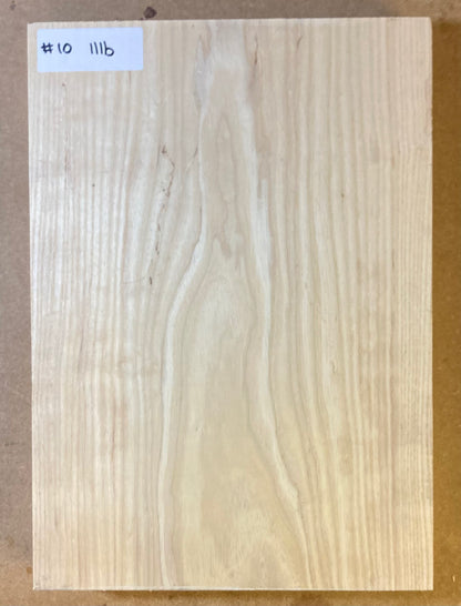Ash Body Blank - 1 Piece #10