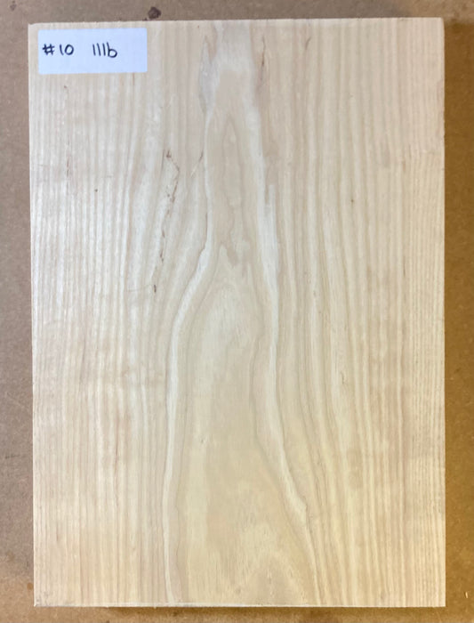 Ash Body Blank - 1 Piece #10