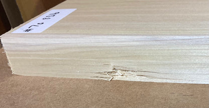 Tulip/Poplar Body Blank - 2 Piece #7 Second