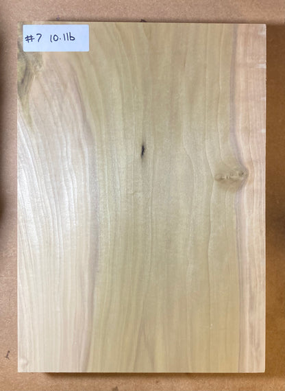 Tulip/Poplar Body Blank - 1 Piece #7