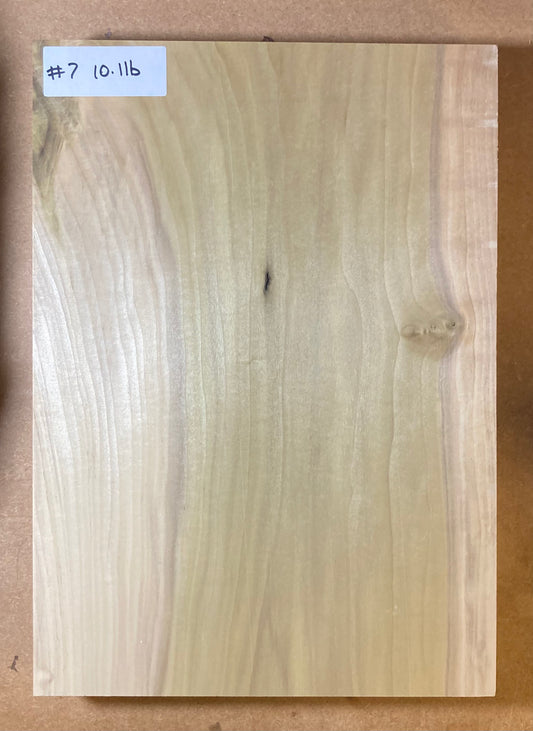 Tulip/Poplar Body Blank - 1 Piece #7