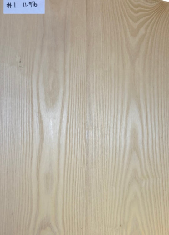Ash Bass Body Blank - 2 Piece #1