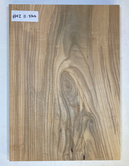 Ash Bass Body Blank - 1 Piece #42