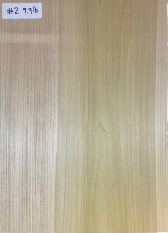 Tulip/Poplar Bass Body Blank - 1 Piece #2