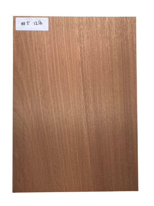Sapele Body Blank - 1 Piece #5