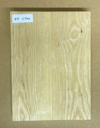 Ash Body Blank - 2 Piece #19