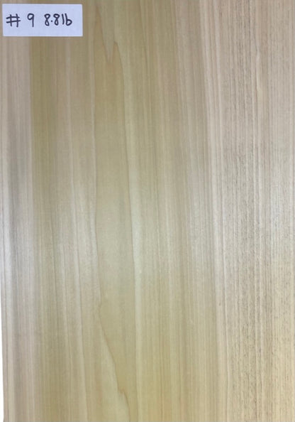 Tulip/Poplar Body Blank - 1 Piece #9