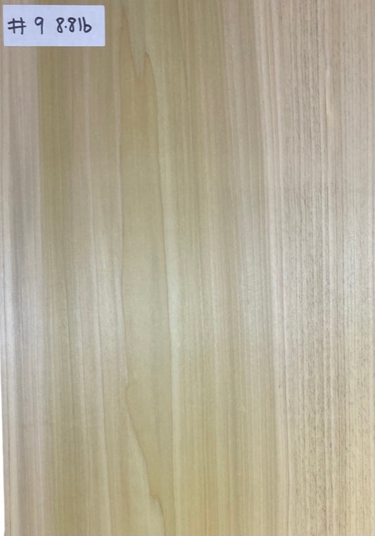 Tulip/Poplar Body Blank - 1 Piece #9