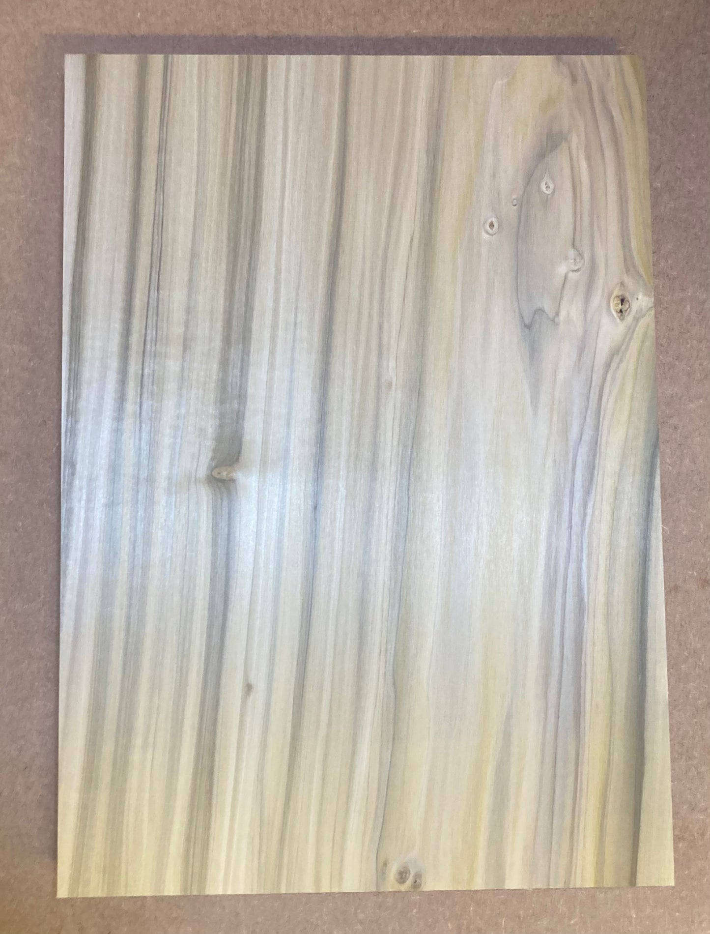 Tulip/Poplar Bass Body Blank - 1 Piece - #3