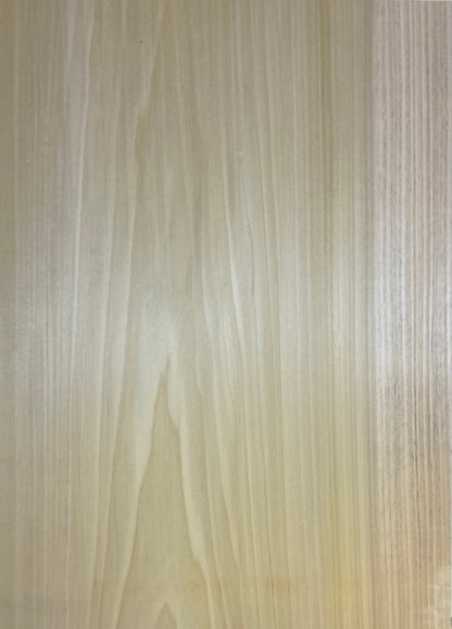 Tulip/Poplar Body Blank - 1 Piece #7