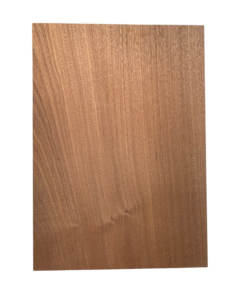 Sapele Body Blank - 1 Piece #1