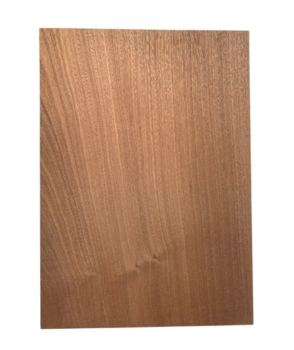 Sapele Body Blank - 1 Piece #1