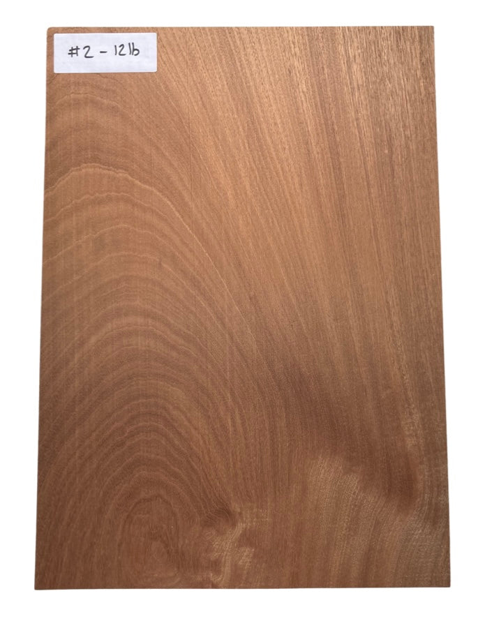 Sapele Body Blank - 1 Piece #2