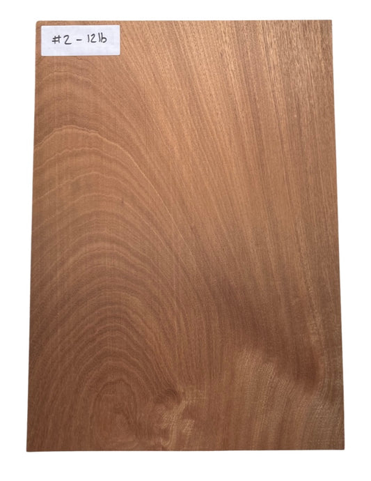 Sapele Body Blank - 1 Piece #2