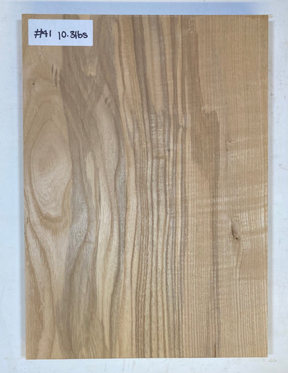 Ash Body Blank - 1 Piece #41