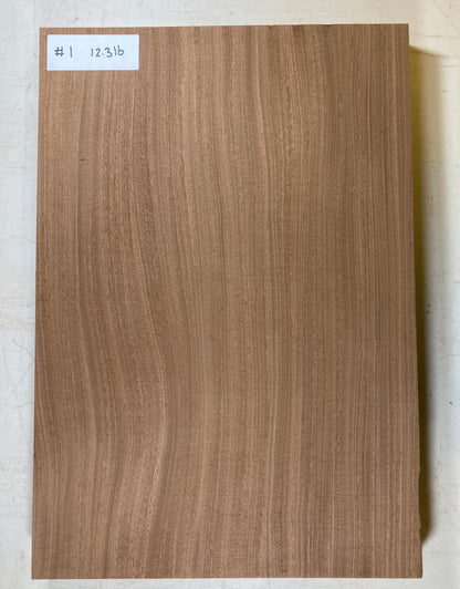 Sapele Bass Body Blank - 1 Piece #1
