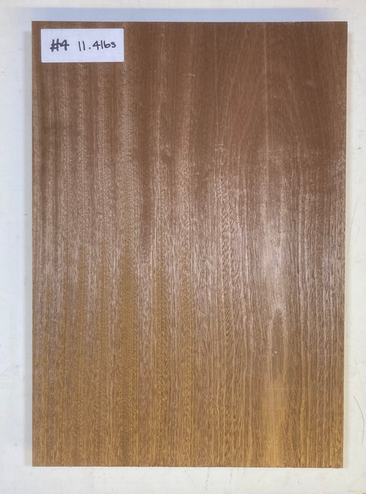 Sapele Body Blank - 1 Piece #4
