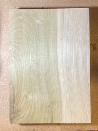 Tulip/Poplar Body Blank - 1 Piece #1 - Second