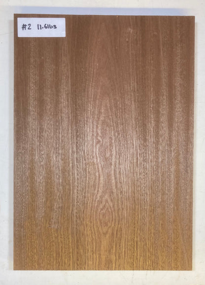 Sapele Body Blank - 1 Piece #2