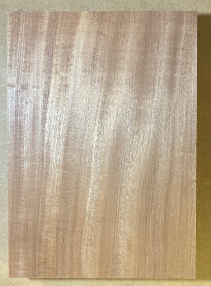 Sapele Body Blank - 1 Piece #5