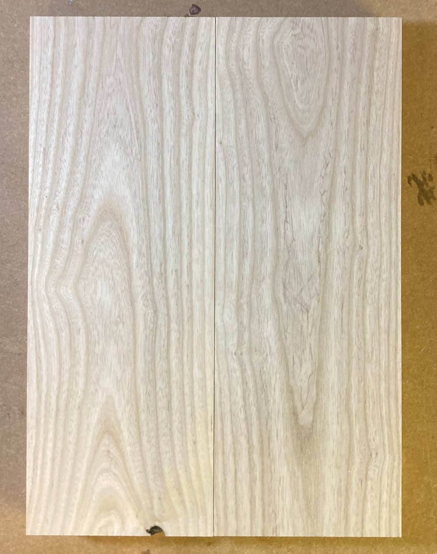 Ash Body Blank - 2 Piece #16
