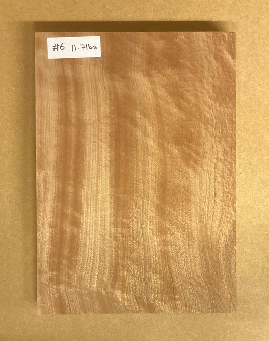 Sapele Body Blank - 1 Piece #6