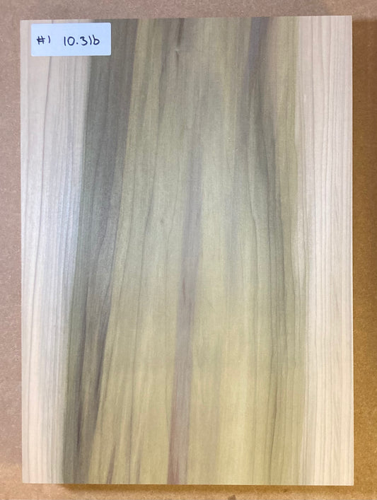 Tulip/Poplar Bass Body Blank - 1 Piece #1