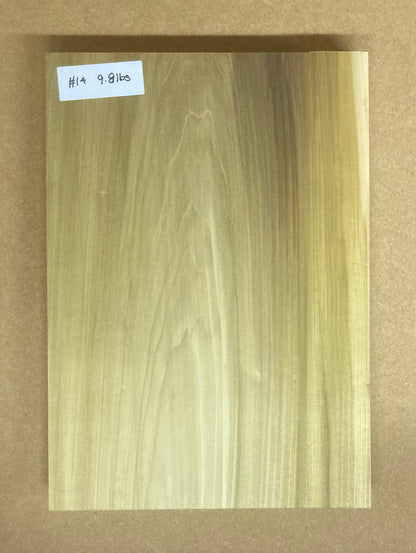 Tulip/Poplar Body Blank - 1 Piece #14