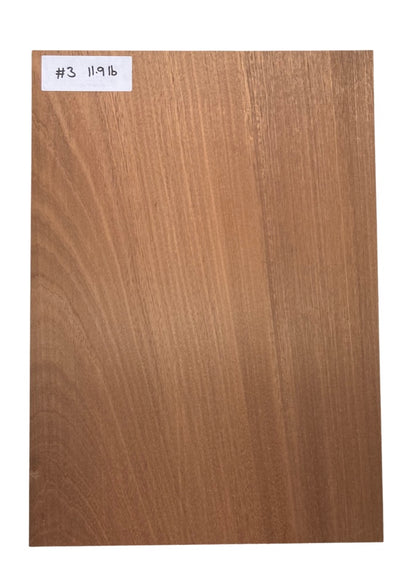 Sapele Body Blank - 1 Piece #3